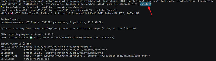 onnx convert