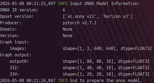 ONNX Model Information